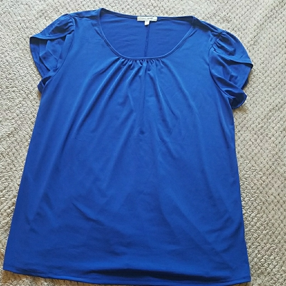 Blue top with tulip sleeves